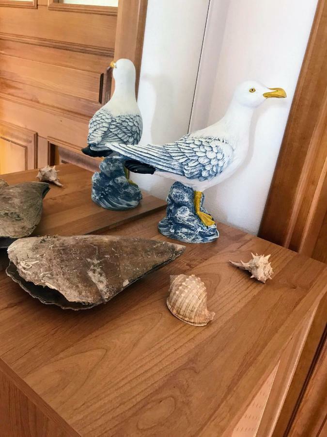 Villa Daisy Tar-Vabriga Dış mekan fotoğraf